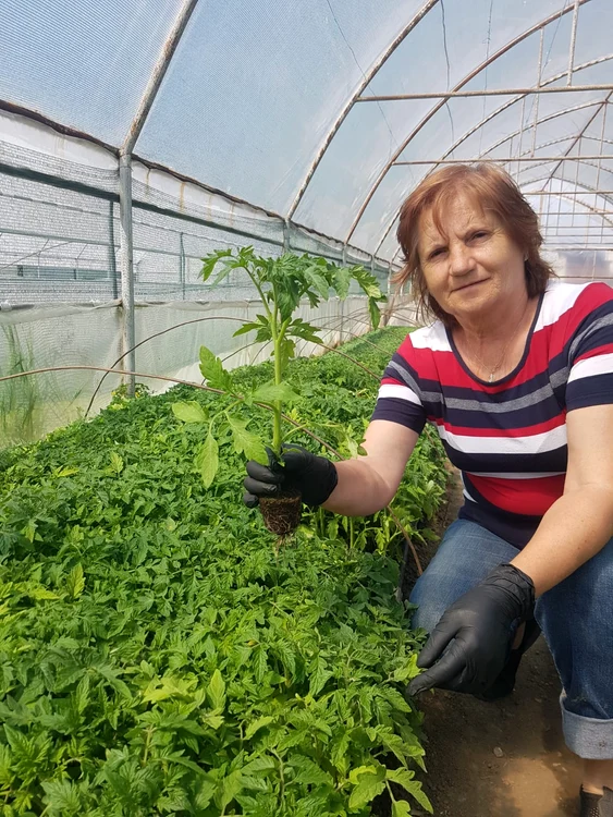 Fermierul se ocupă de fermă împreună cu părinții (aici mama fermierului)FOTO: arhiva personală