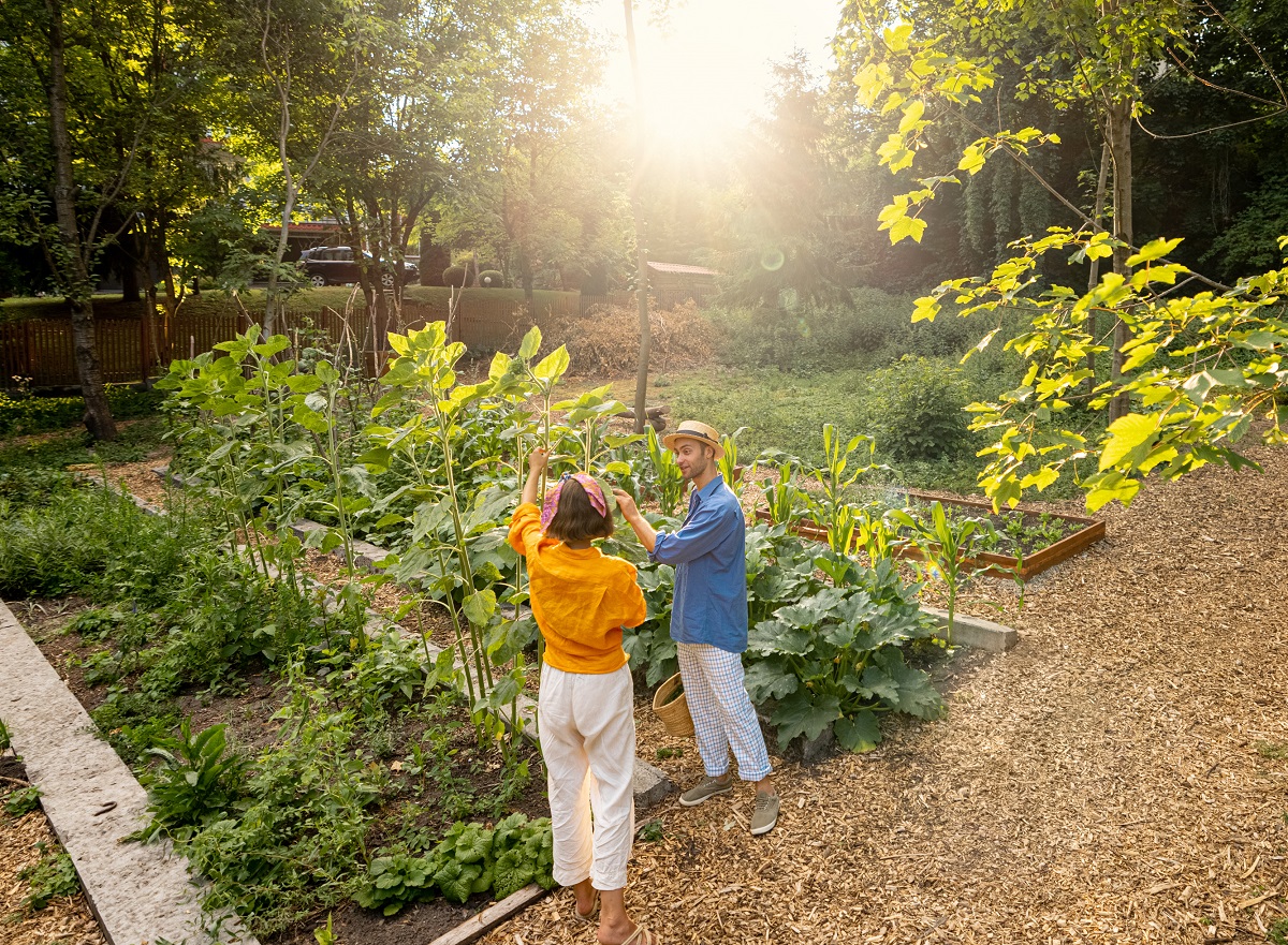 farmers-walk-at-farmland-during-sunset-2026-03-20-04-41-31-utc.jpg
