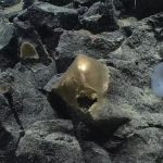 misterul-sferei-aurii-descoperite-pe-fundul-oceanului-langa-alaska-a-fost-rezolvat-dupa-mai-bine-de.png