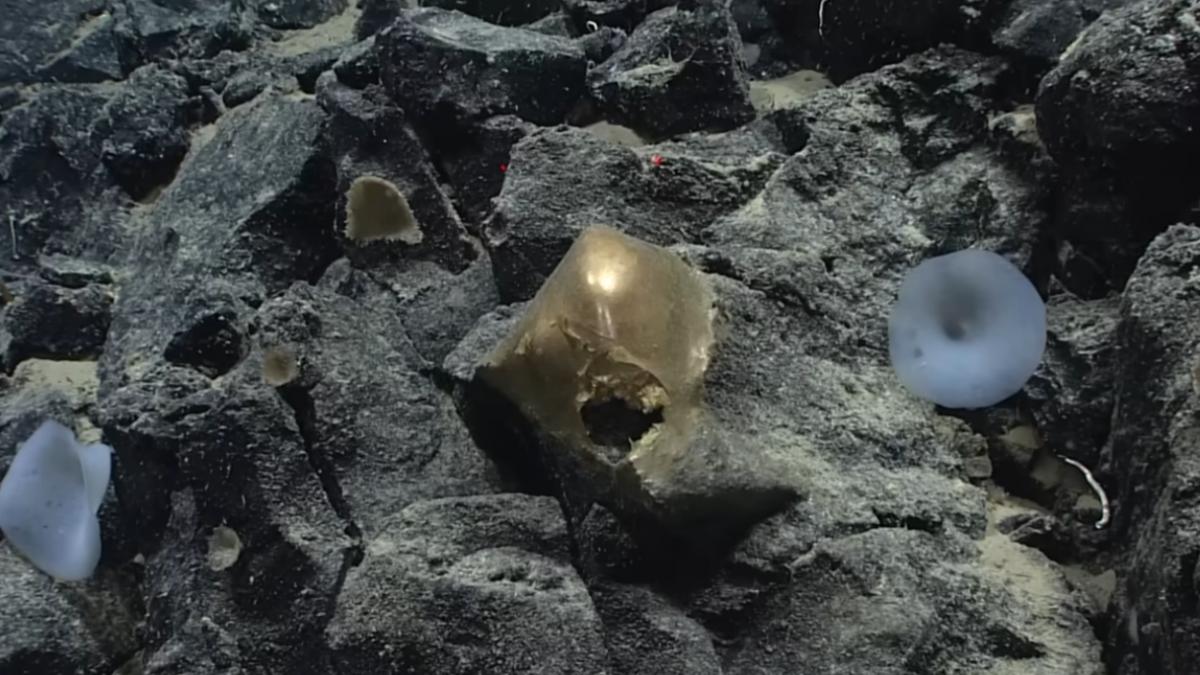 misterul-sferei-aurii-descoperite-pe-fundul-oceanului-langa-alaska-a-fost-rezolvat-dupa-mai-bine-de.png