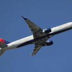 o-femeie-a-nascut-intr-un-avion-delta-air-lines-cu-30-de-minute-inainte-de-aterizare-a-fost-destul-d.webp