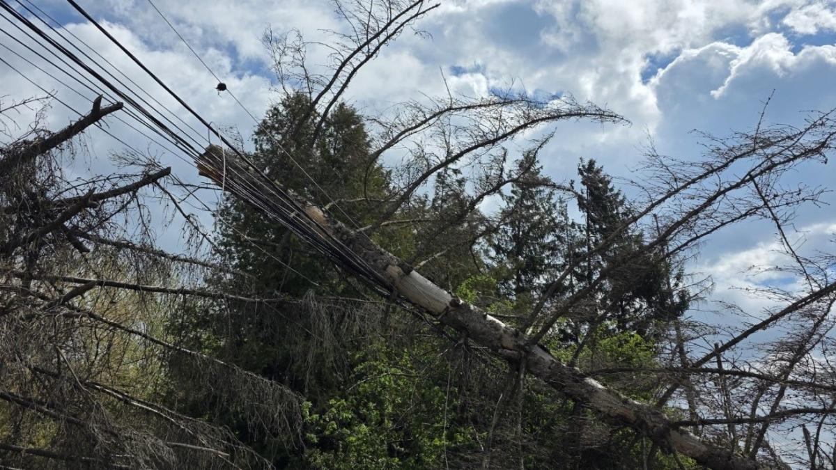zeci-de-acoperisuri-au-fost-smulse-de-vantul-puternic-sunt-avarii-la-reteaua-de-energie-electrica-in.webp