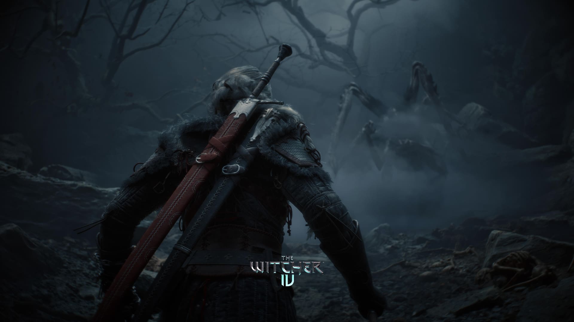 The-Witcher-4.jpeg
