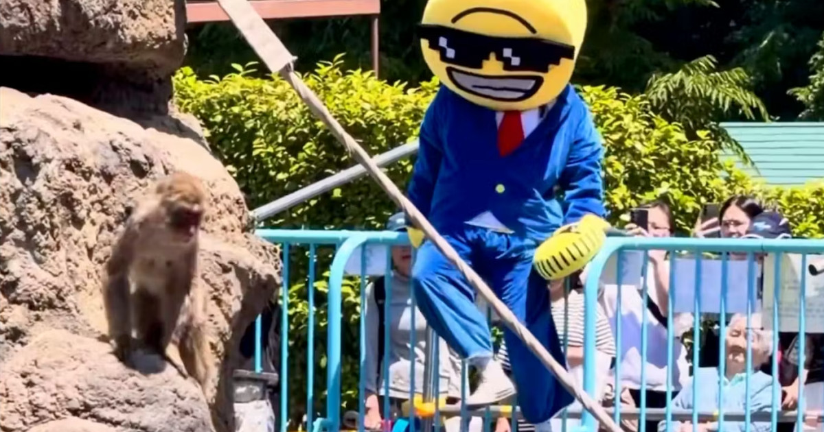 emM9MSZoYXNoPTI1MThmM2RjMGU2ZGVkMjBjMDBjMjkzY2I3YmFhNThm.thumb_.jpg