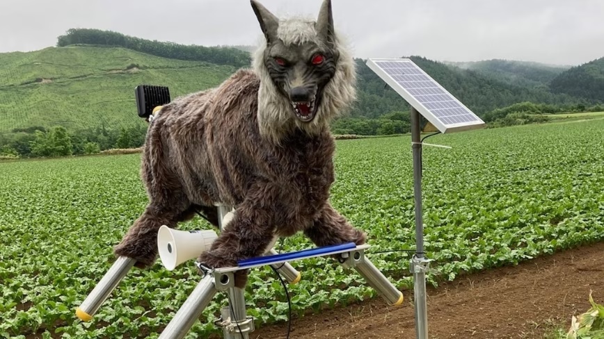 japan-monster-wolf-robot-bear-attacks