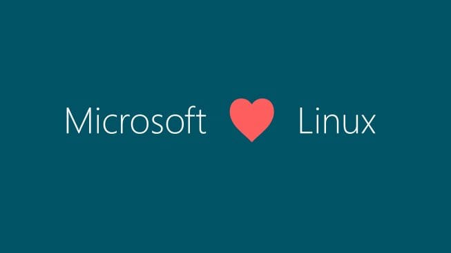 Microsoft-vorbeste-Linux.jpg