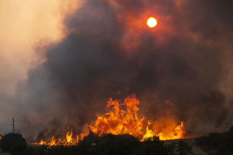 incendii vegetatie Bulgaria