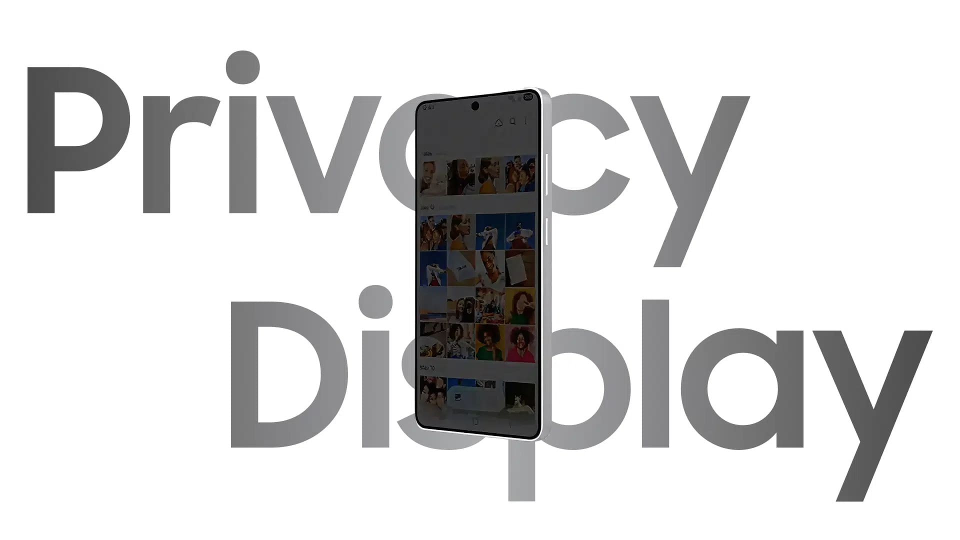Privacy-Display.jpg
