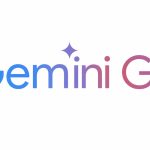 gemini-go