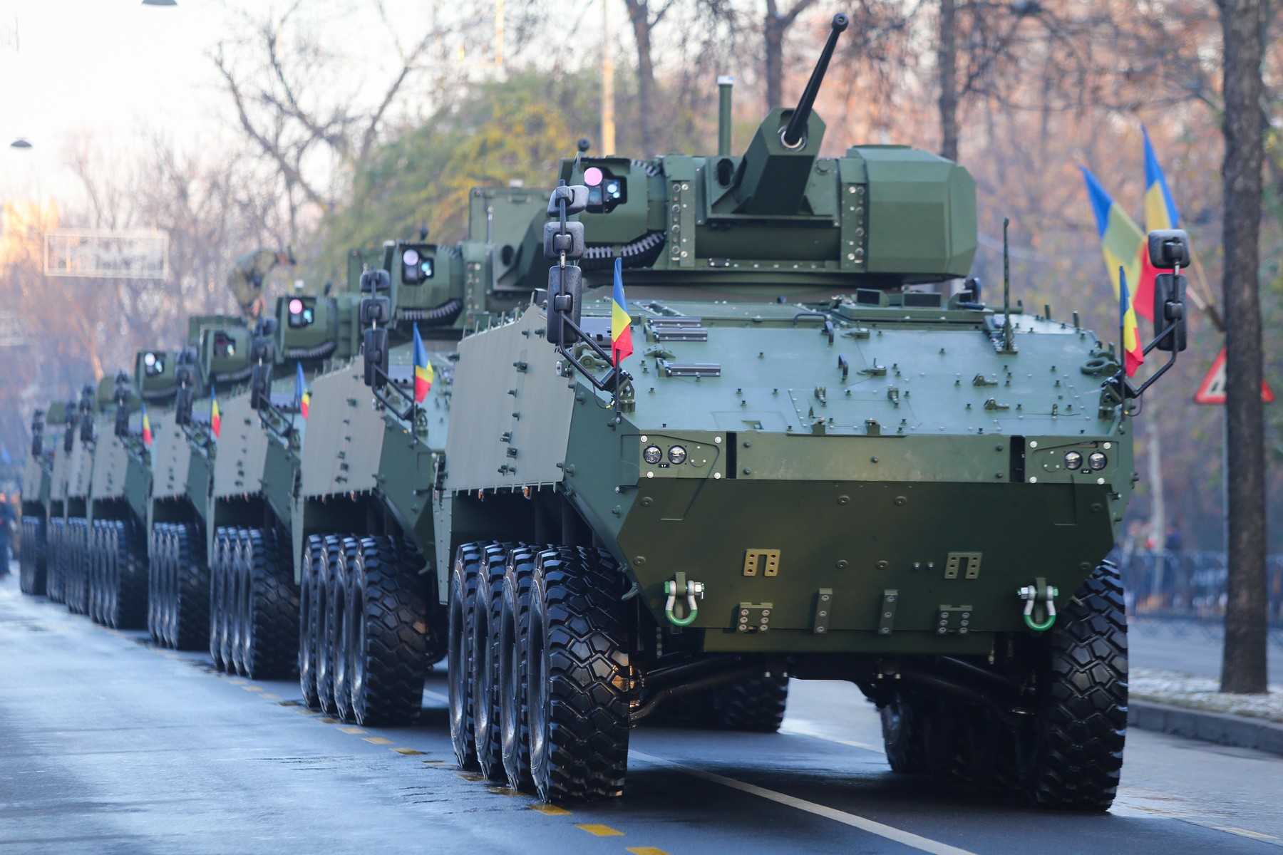 piranha-romania_prf.jpg