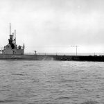 submarin-gato.jpg