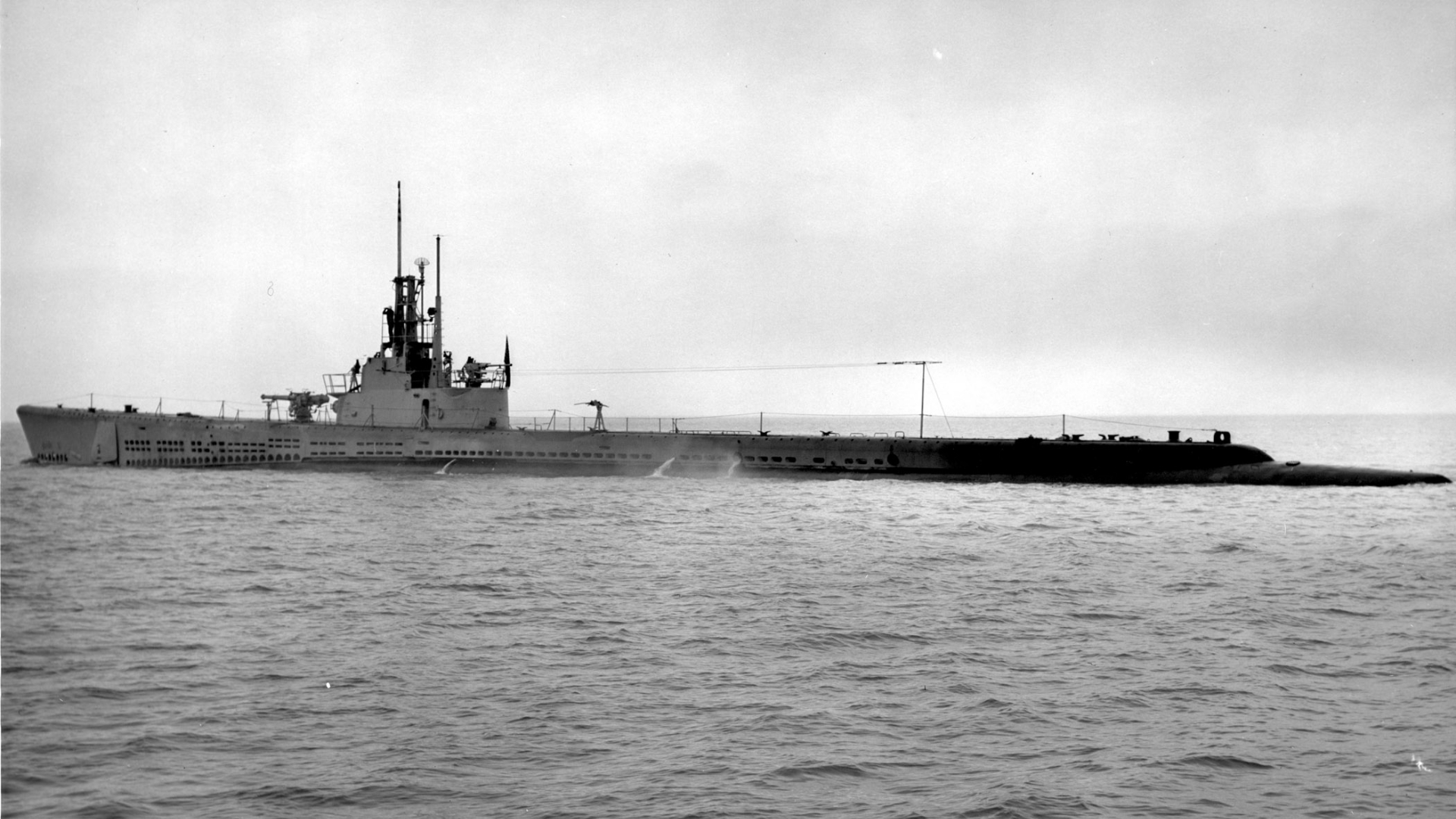 submarin-gato.jpg