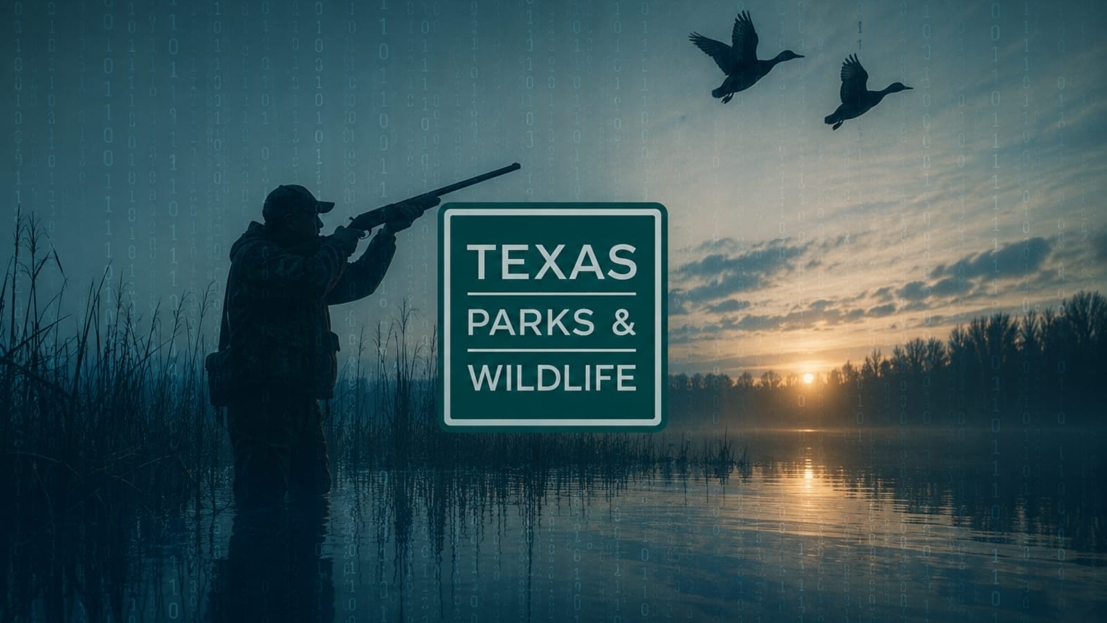 texas