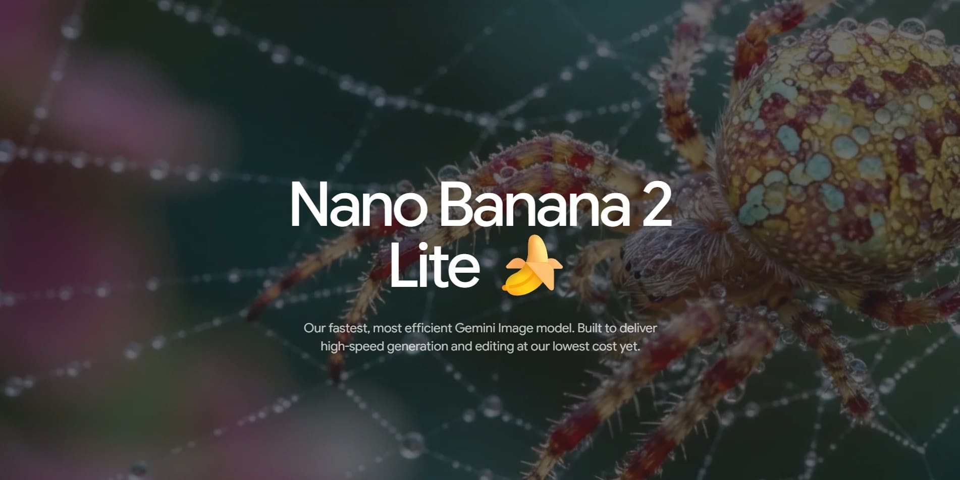 NanoBanana-2-Lite.jpg