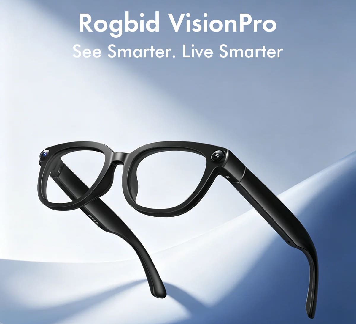 Rogbid-VisionPro.jpeg