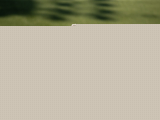 YzgwY2M4MGEzMTQ4ZGRkMTIwZmQxZjhiZWEzOTc0Ng.thumb_.jpg