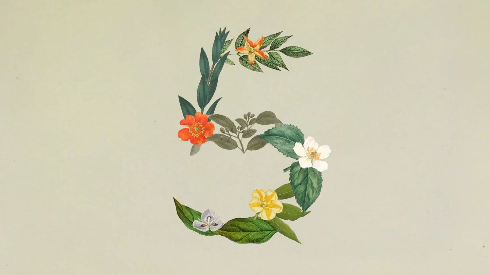 anthropic-claude-sonnet-5