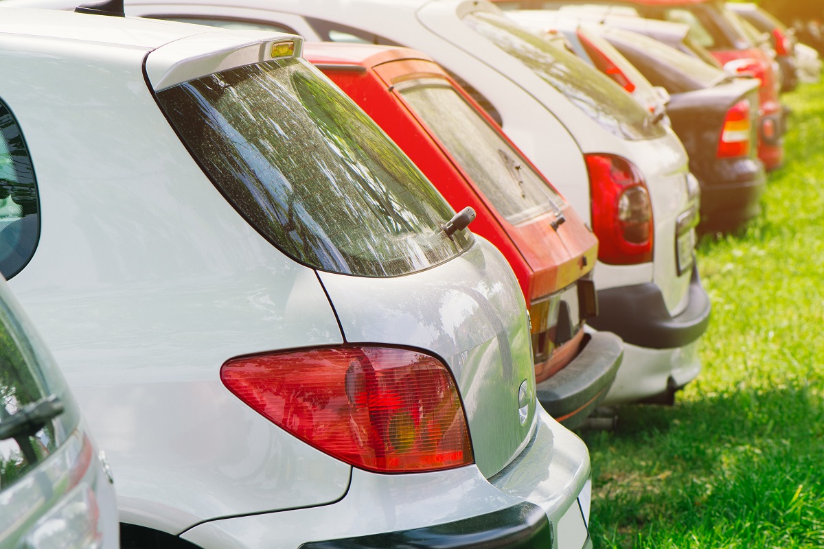cars-on-green-grass-2024-12-06-04-05-33-utc.jpg
