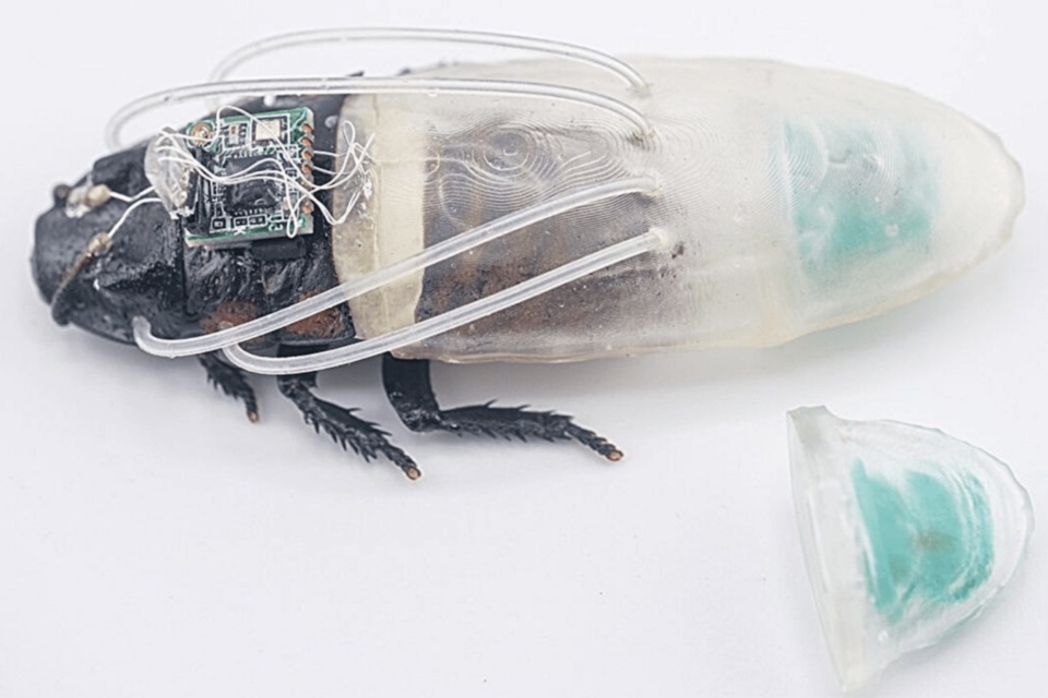 cyborg-cockroach-960x640-1