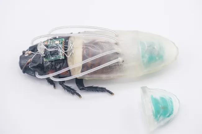 gandac-cyborg-Image-credit-NTU-Singapore