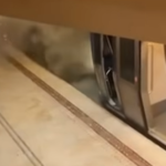 incendiu-metrou-M2-Universitate-inundatii-Bucuresti.png